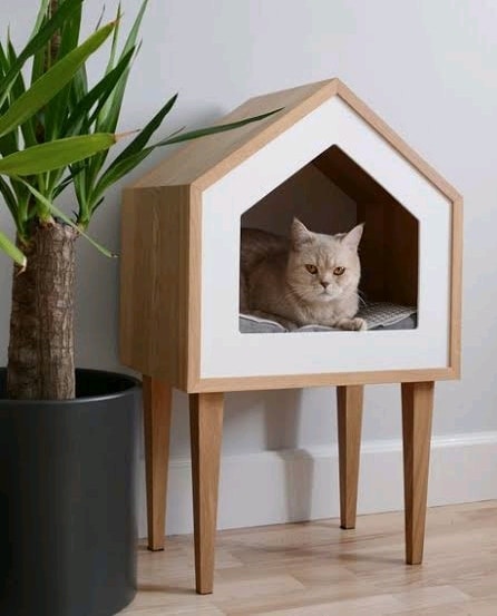 Detail Desain Rumah Kucing Dalam Rumah Nomer 32