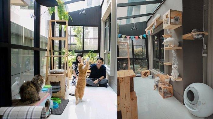 Detail Desain Rumah Kucing Dalam Rumah Nomer 5