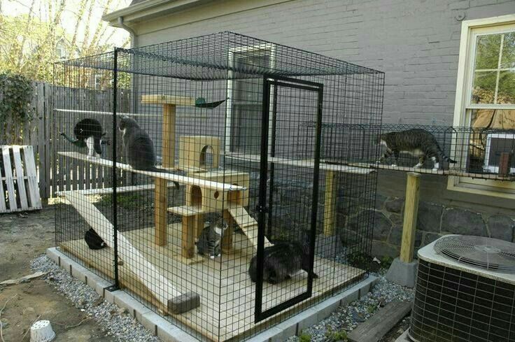 Detail Desain Rumah Kucing Dari Triplek Nomer 30