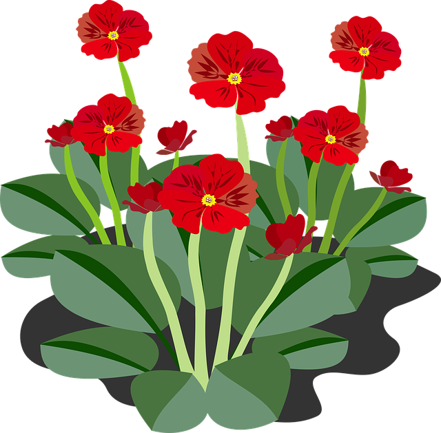 Detail Flora Plant Nomer 8