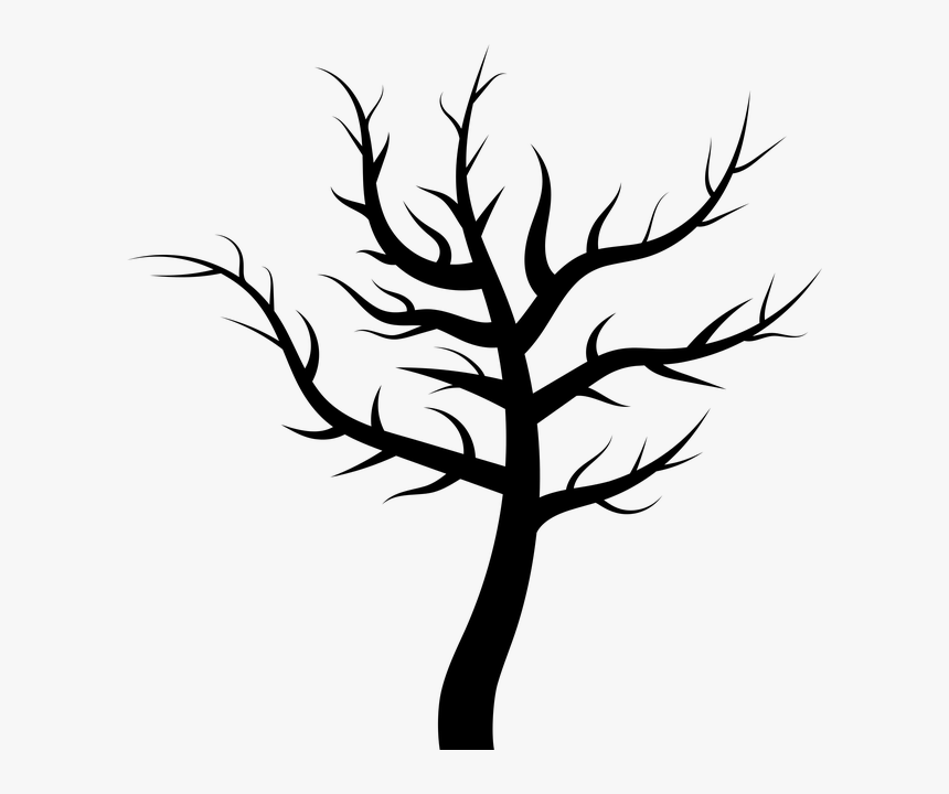 Detail Leafless Plant Nomer 2