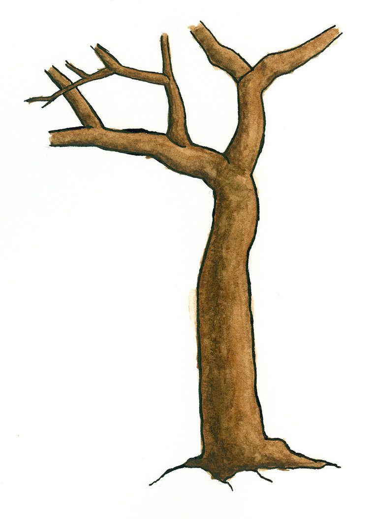 Detail Leafless Plant Nomer 22