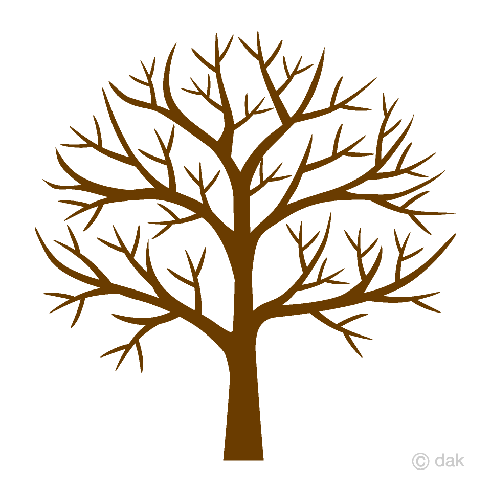 Detail Leafless Plant Nomer 7