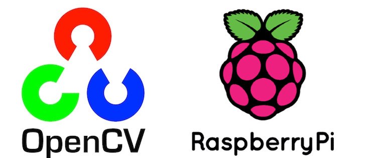 Detail Raspberry Pi Logo Nomer 8