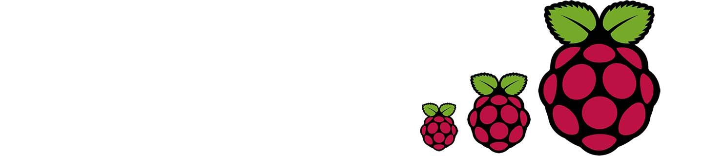 Detail Raspberry Pi Logo Nomer 16
