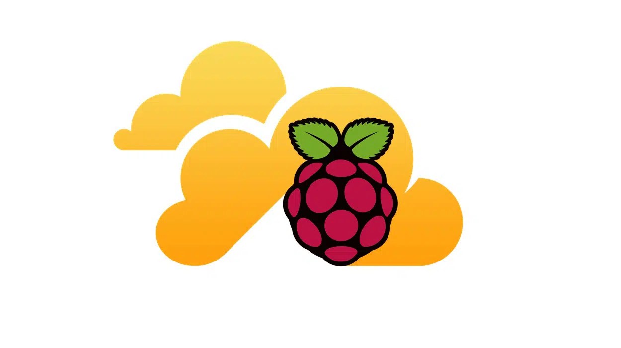 Detail Raspberry Pi Logo Nomer 17
