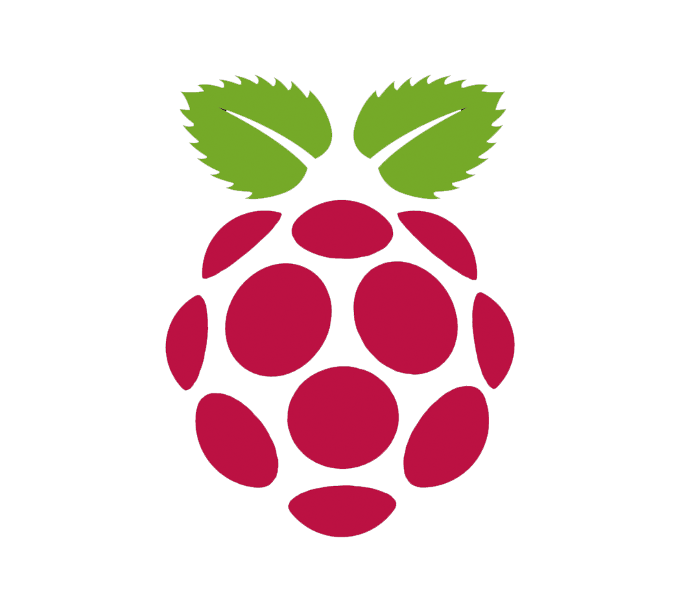 Detail Raspberry Pi Logo Nomer 4