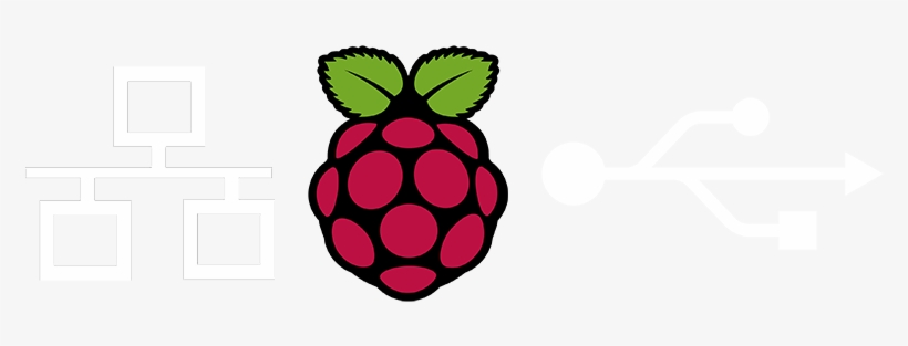 Detail Raspberry Pi Logo Nomer 5