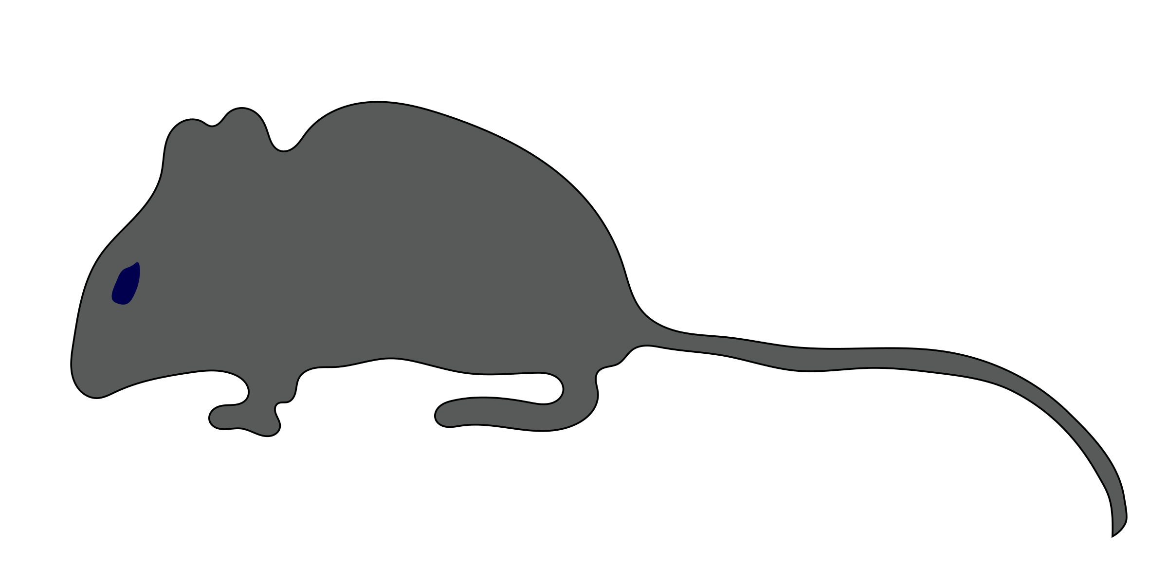 Detail Ratte Malen Nomer 6