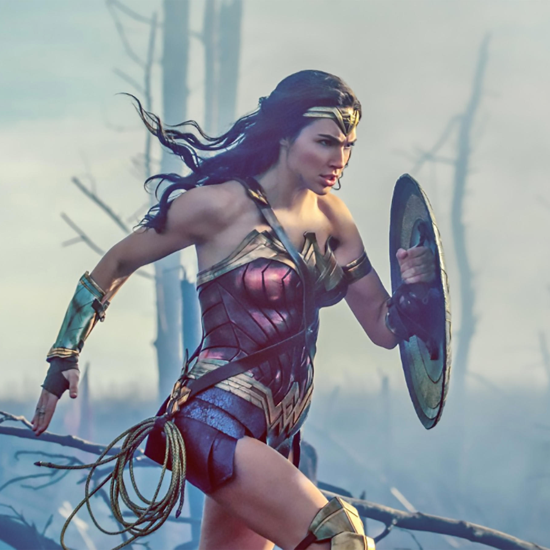 Detail Lara Croft X Wonder Woman Nomer 20