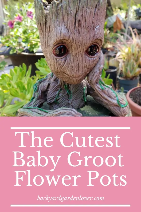 Detail Large Groot Flower Pot Nomer 22