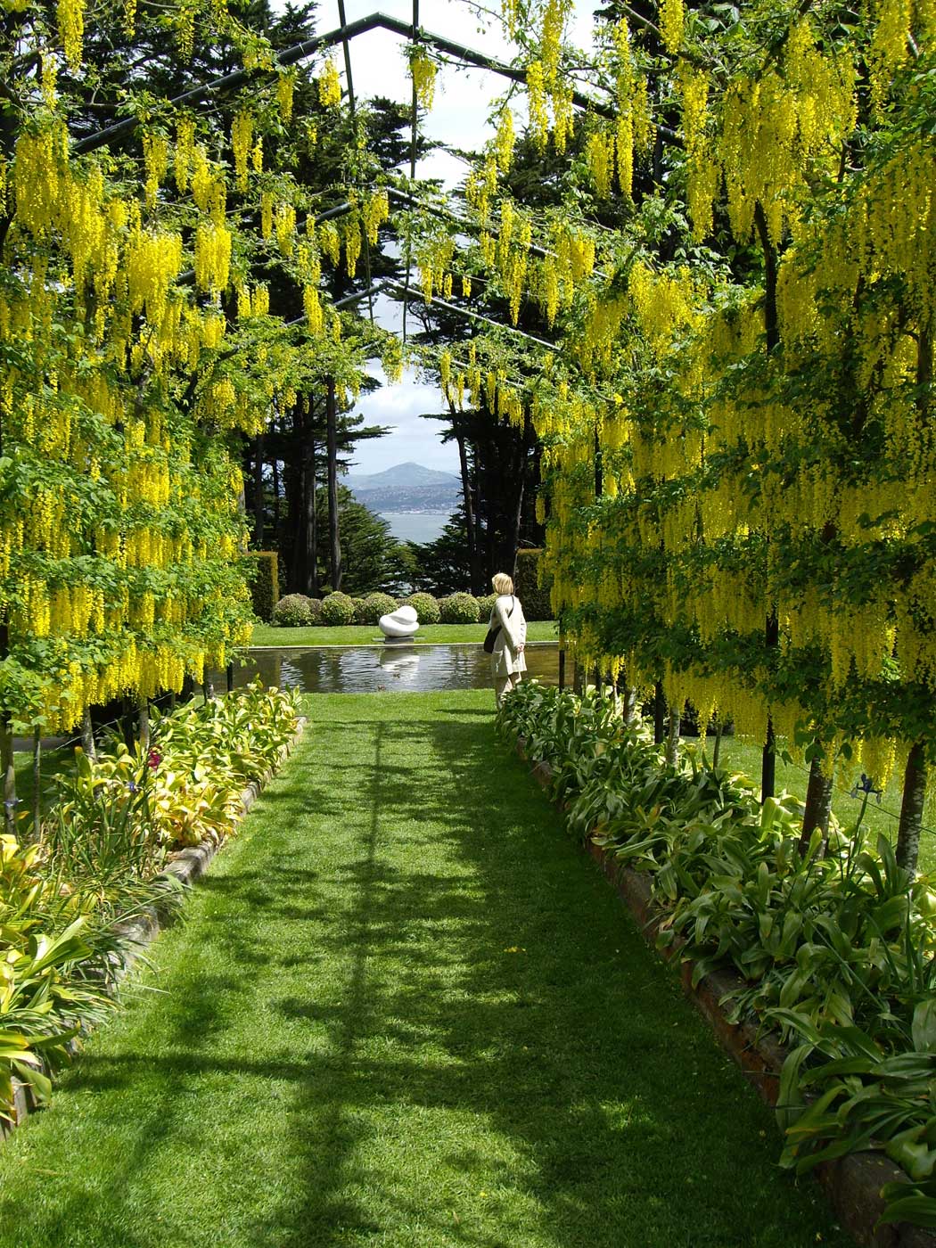 Detail Larnach Castle Gardens Nomer 12