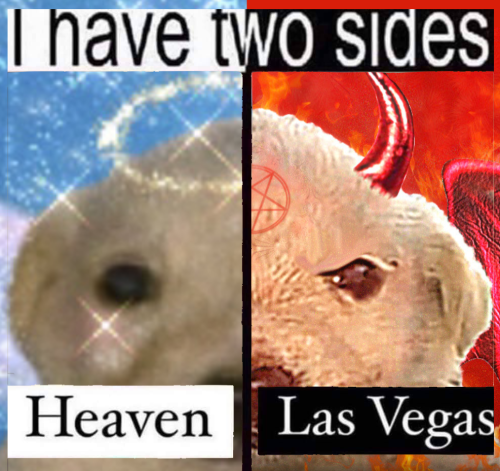 Detail Las Vegas Meme Nomer 27