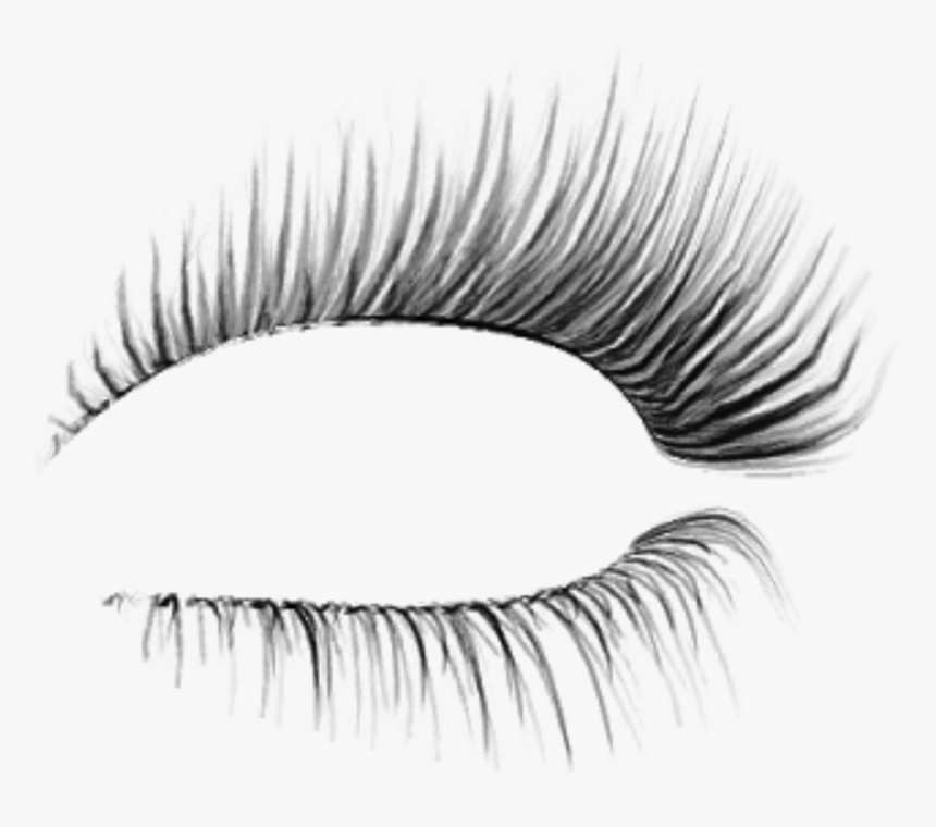 Detail Lashes Clear Background Nomer 14