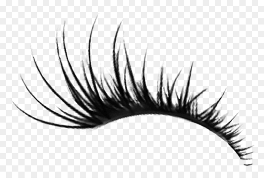 Detail Lashes Clear Background Nomer 16