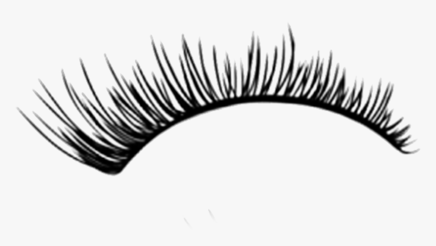 Detail Lashes Clear Background Nomer 5