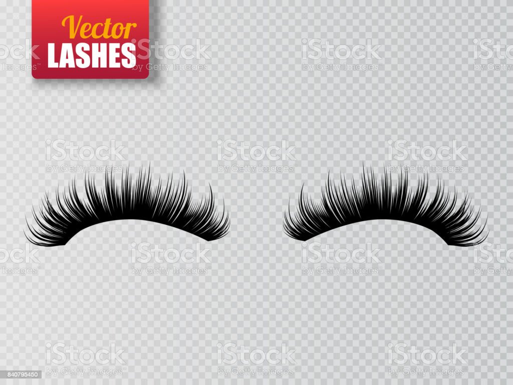 Detail Lashes Clear Background Nomer 49