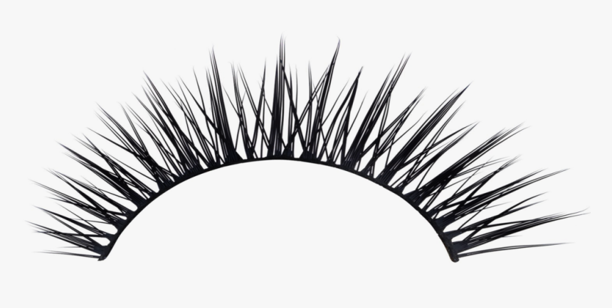 Detail Lashes Transparent Background Nomer 15