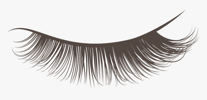 Detail Lashes Transparent Background Nomer 17