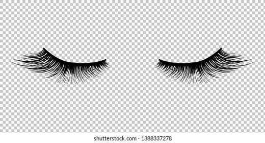Detail Lashes Transparent Background Nomer 2