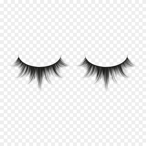Detail Lashes Transparent Background Nomer 24