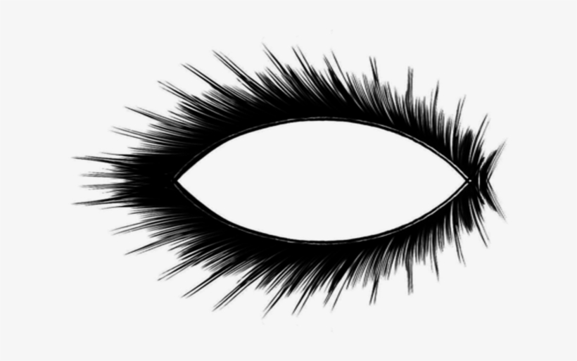 Detail Lashes Transparent Background Nomer 29