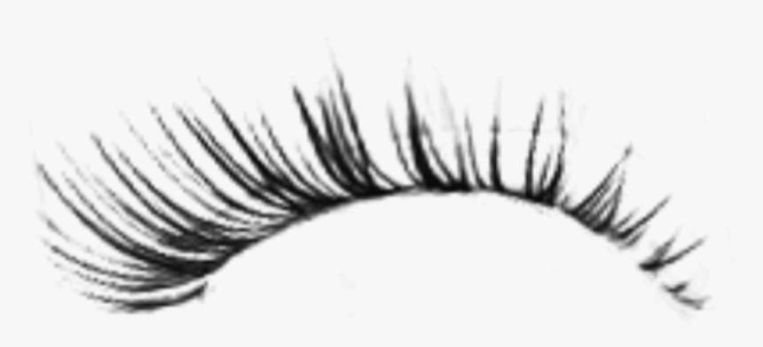 Detail Lashes Transparent Background Nomer 4
