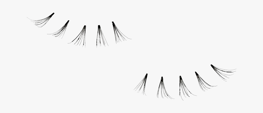 Detail Lashes Transparent Background Nomer 42