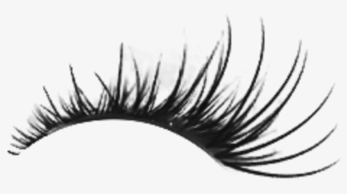 Detail Lashes Transparent Background Nomer 46