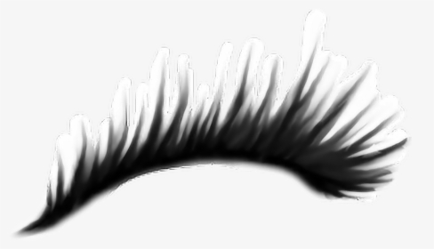 Detail Lashes Transparent Background Nomer 48