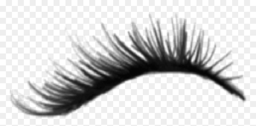 Detail Lashes Transparent Background Nomer 51