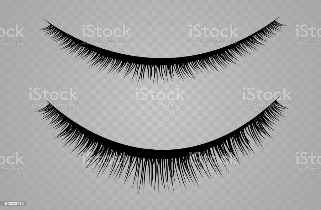 Detail Lashes Transparent Background Nomer 54