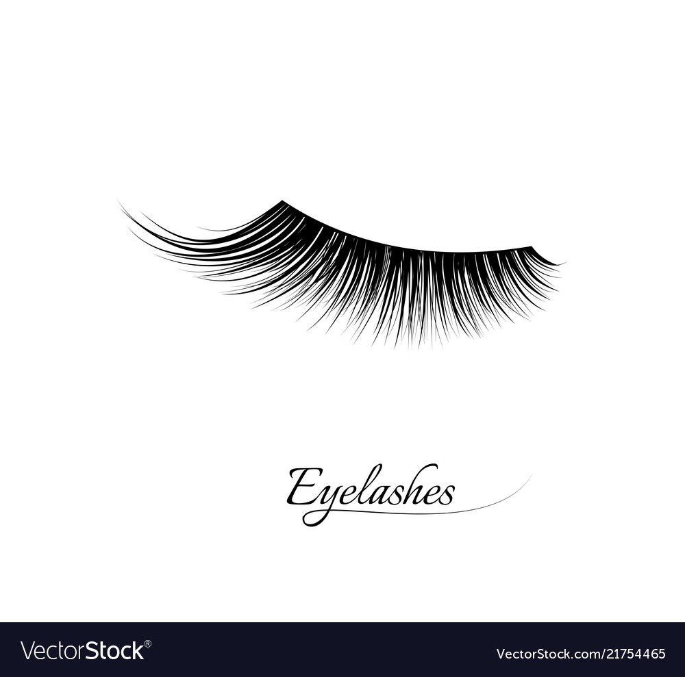 Detail Lashes Vector Nomer 33