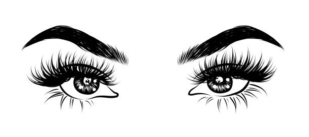 Detail Lashes Vector Nomer 9