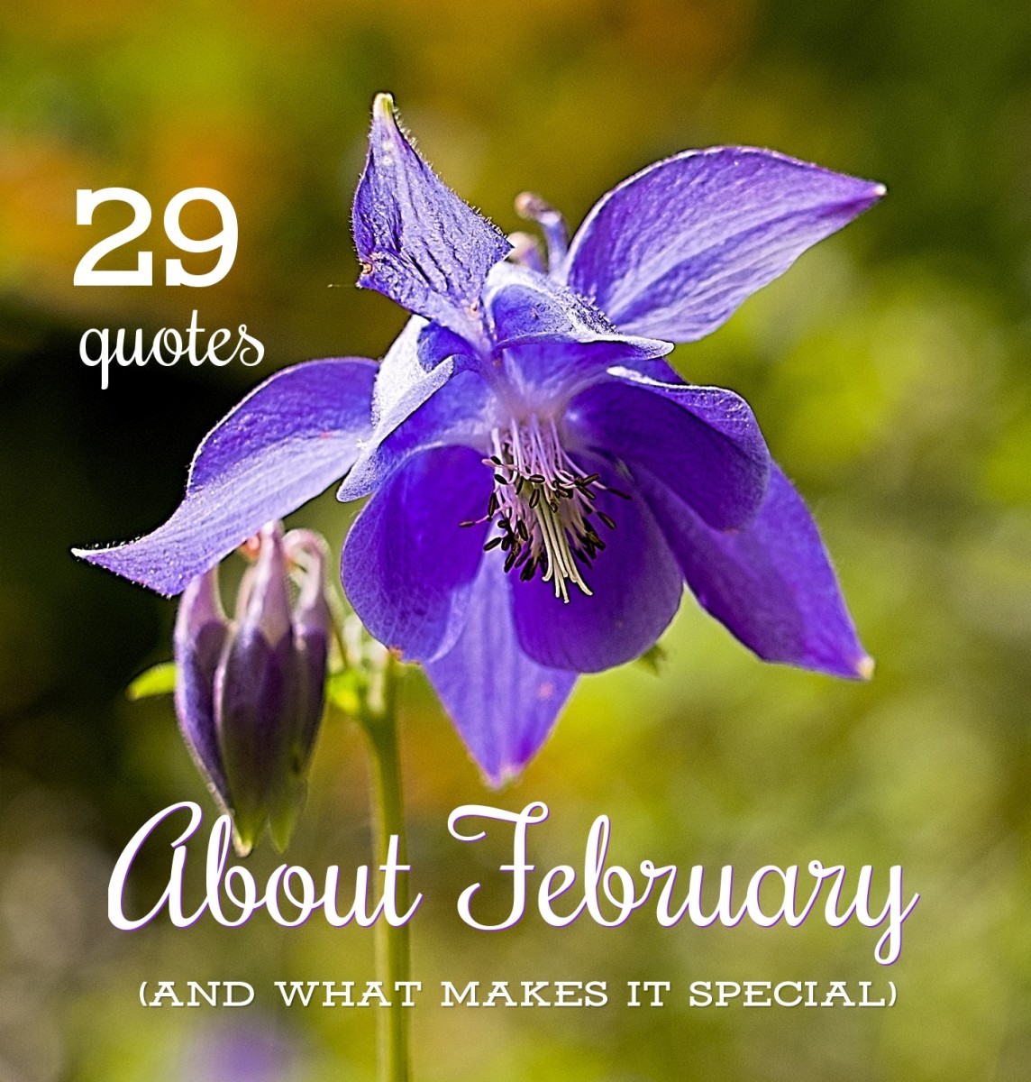 Detail Last Day Of February Quotes Nomer 29