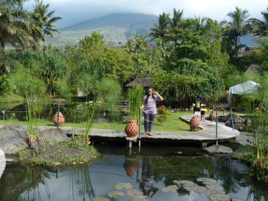 Detail Latar Belakang Pemandangan Nomer 45