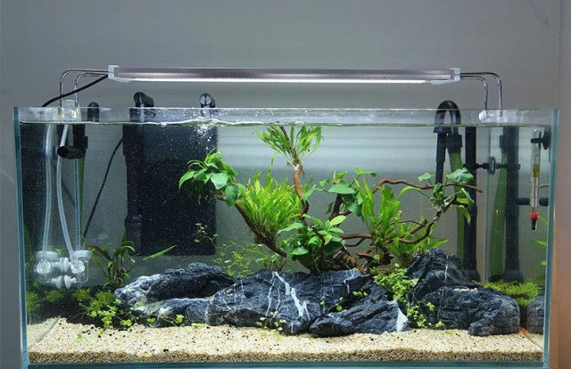 Detail Model Aquarium Air Tawar Nomer 18