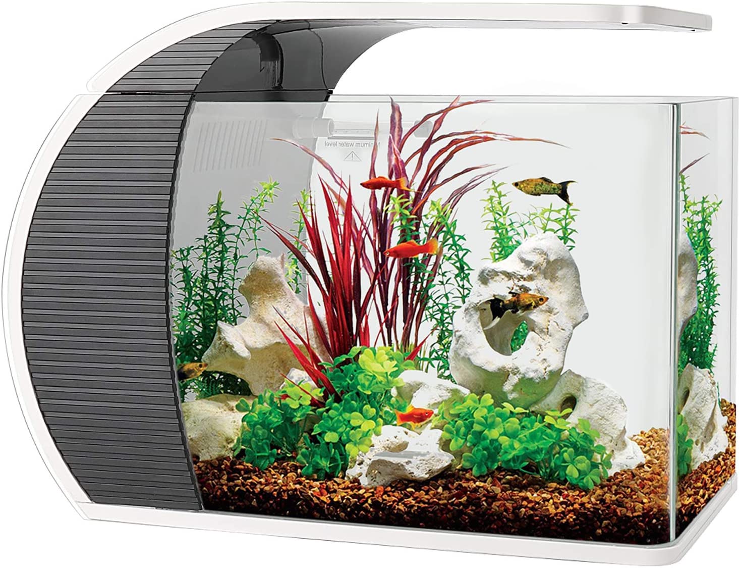 Detail Model Aquarium Dari Styrofoam Nomer 27