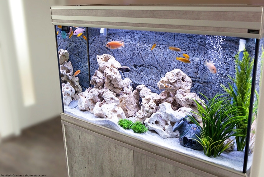 Detail Model Aquarium Dari Styrofoam Nomer 55