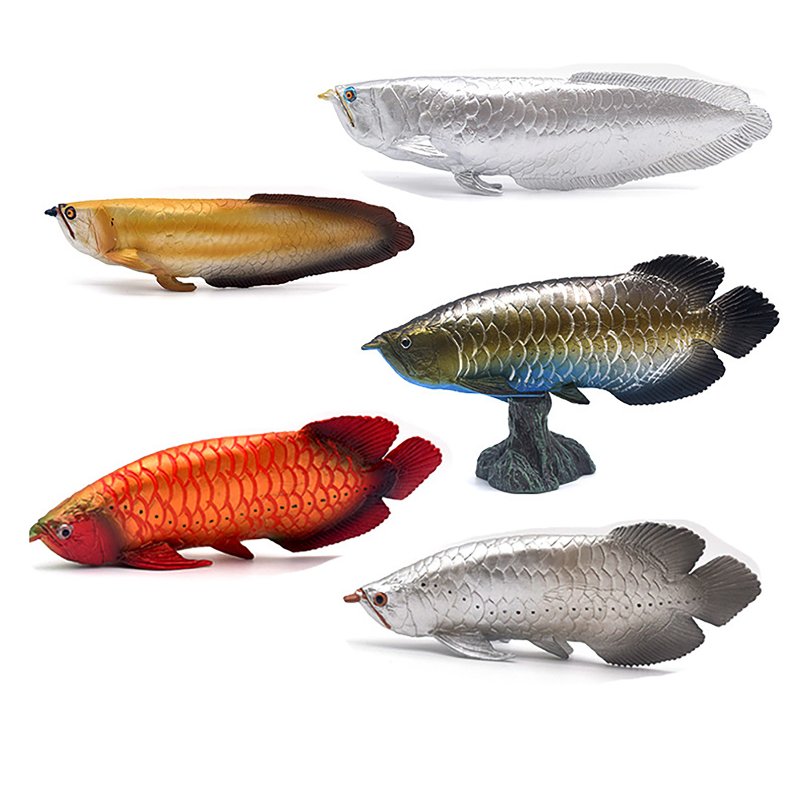 Detail Model Aquarium Untuk Ikan Arwana Nomer 18