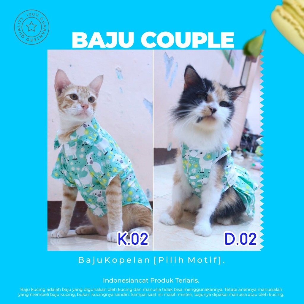 Detail Model Baju Kucing Betina Nomer 33