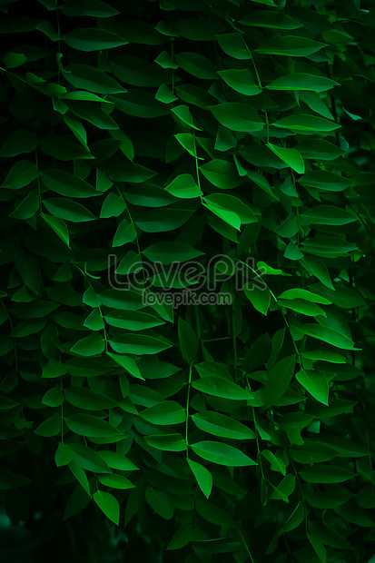 Detail Latar Hijau Daun Nomer 9