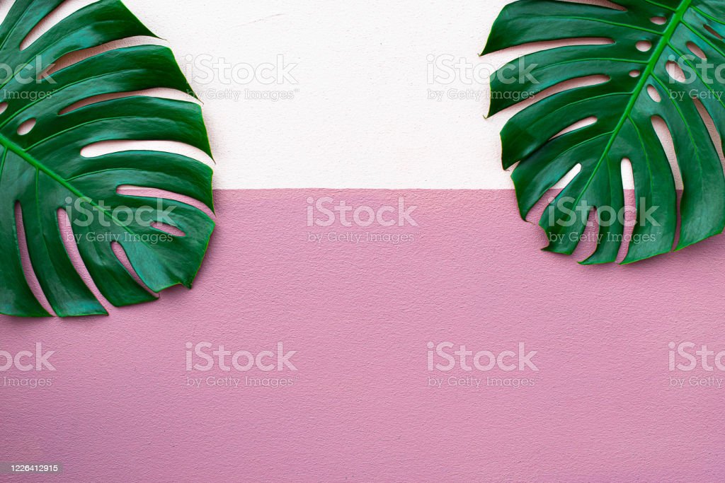 Detail Latar Hijau Daun Nomer 14