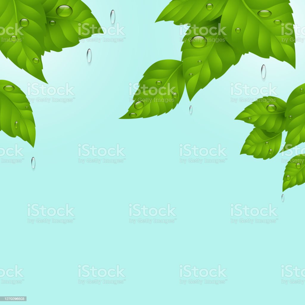 Detail Latar Hijau Daun Nomer 19