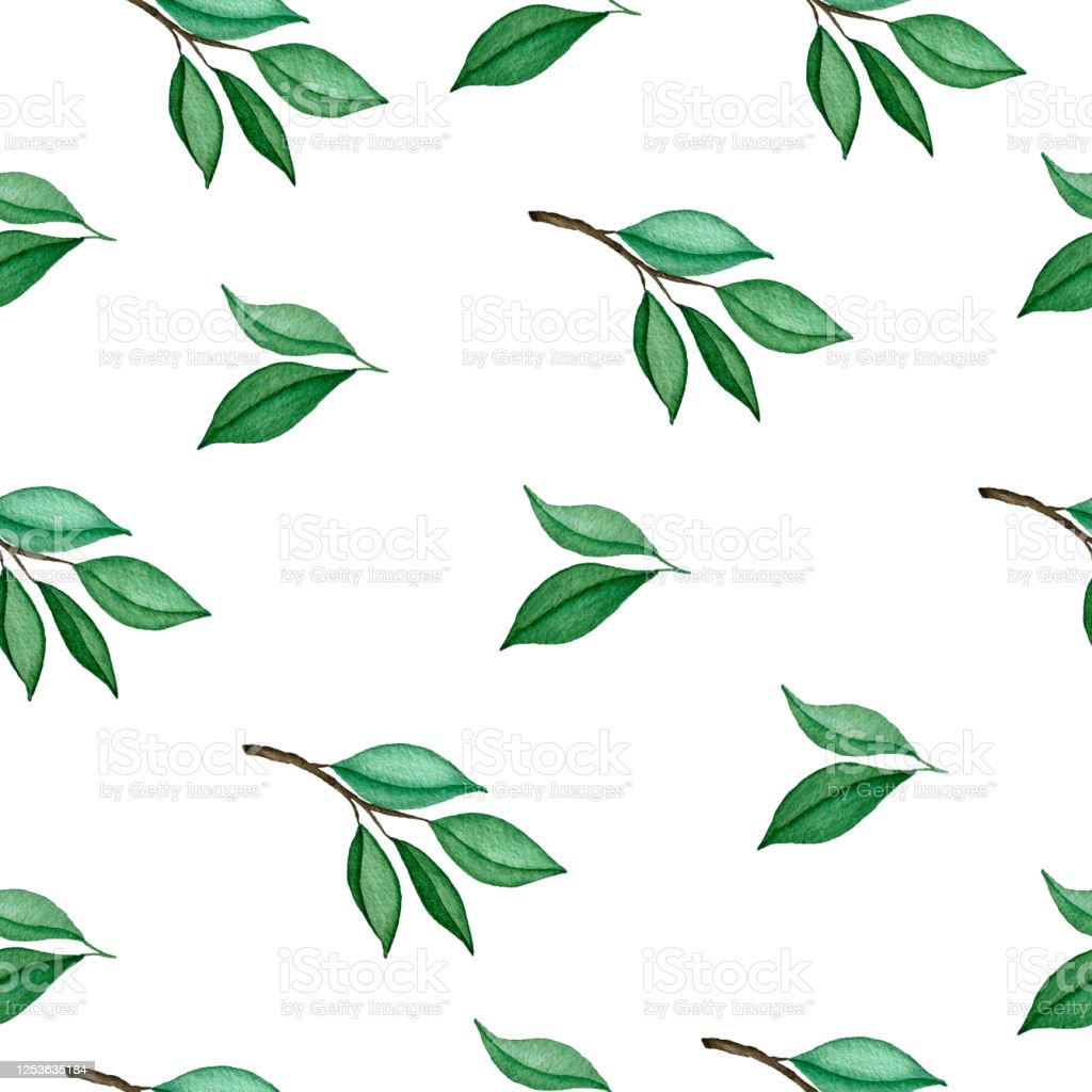 Detail Latar Hijau Daun Nomer 20