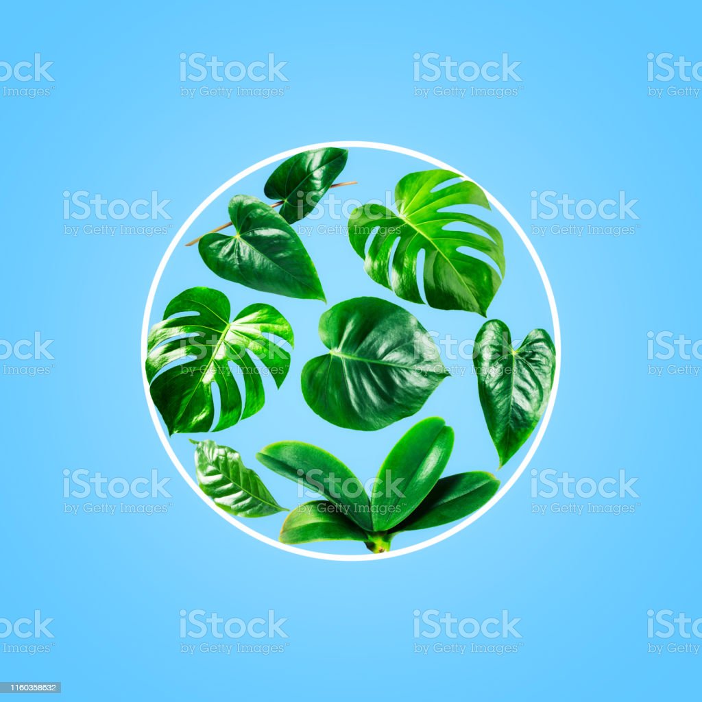 Detail Latar Hijau Daun Nomer 37