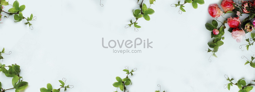 Detail Latar Hijau Daun Nomer 47