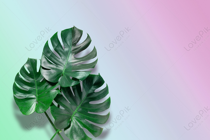 Detail Latar Hijau Daun Nomer 53