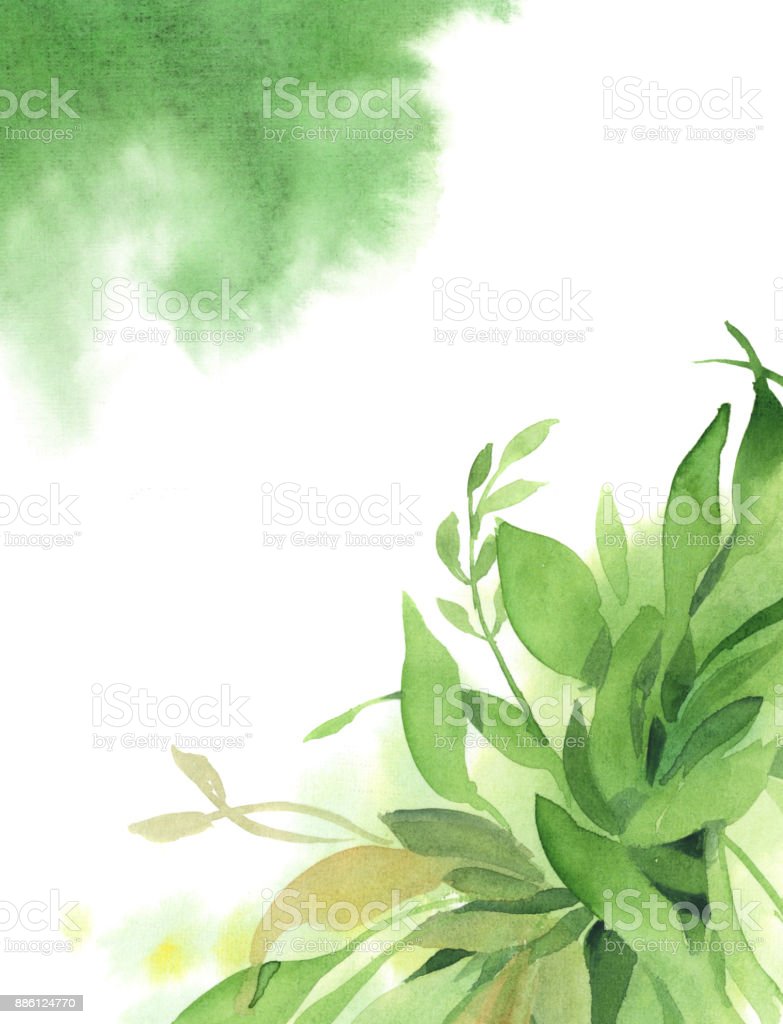 Detail Latar Hijau Daun Nomer 54