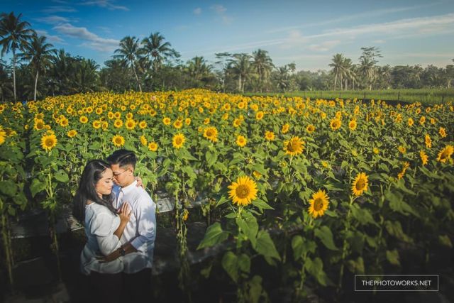 Detail Latar Prewedding Nomer 20